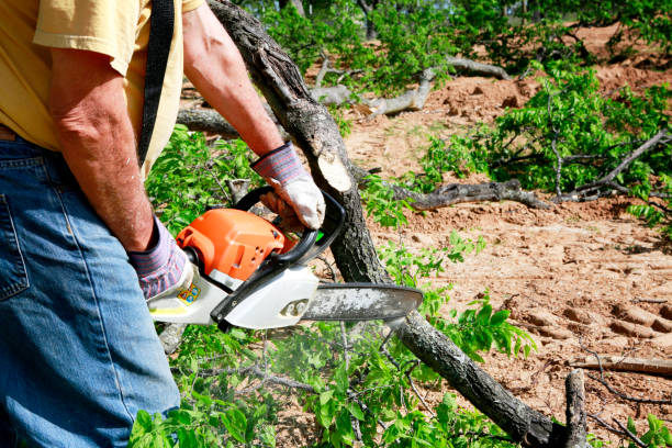 Best Lawn Grading and Leveling  in North Lauderdale, FL